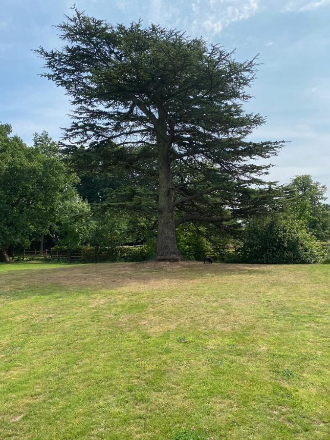 Coundon Lodge コヴェントリー エクステリア 写真