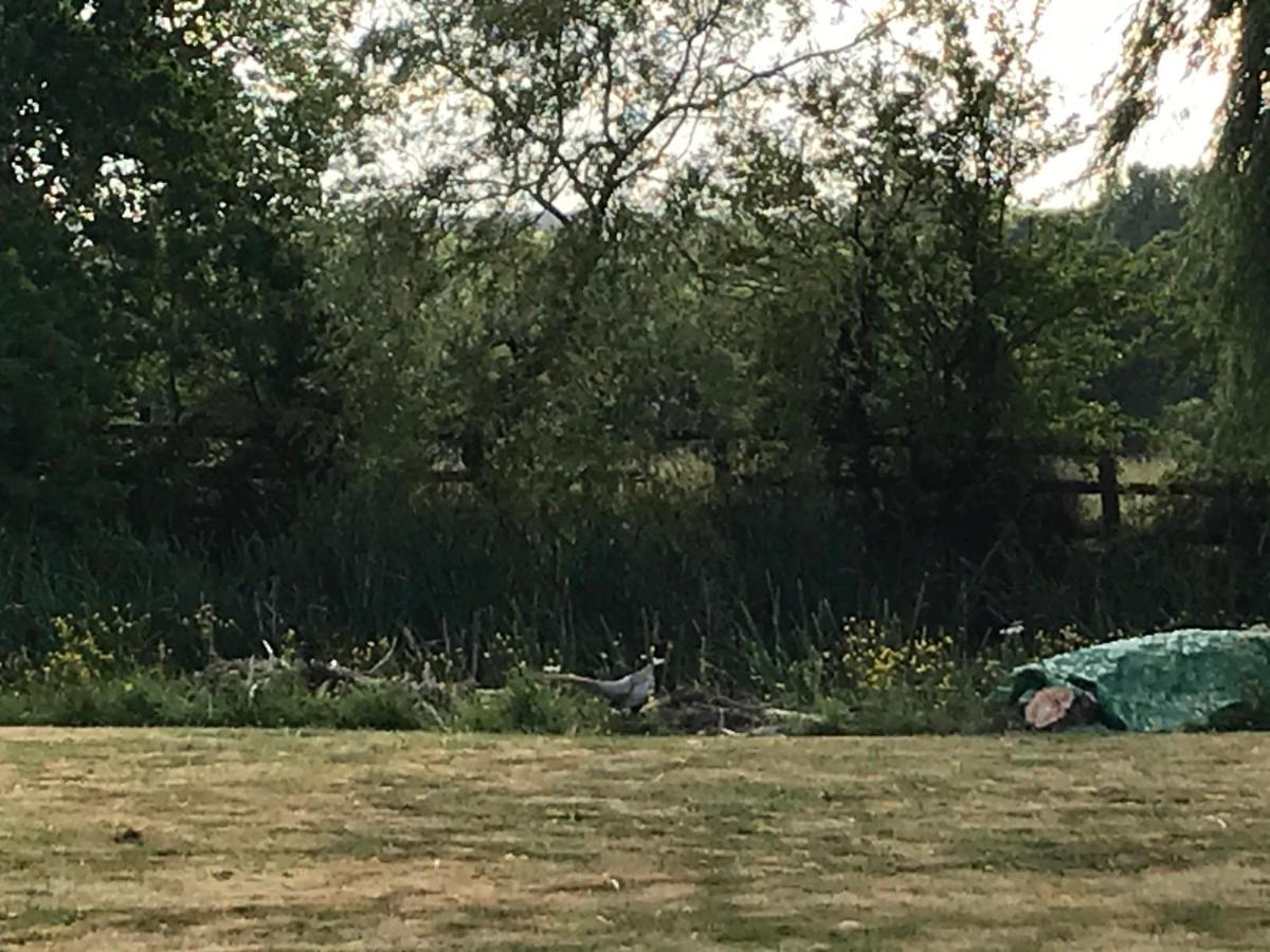Coundon Lodge コヴェントリー エクステリア 写真