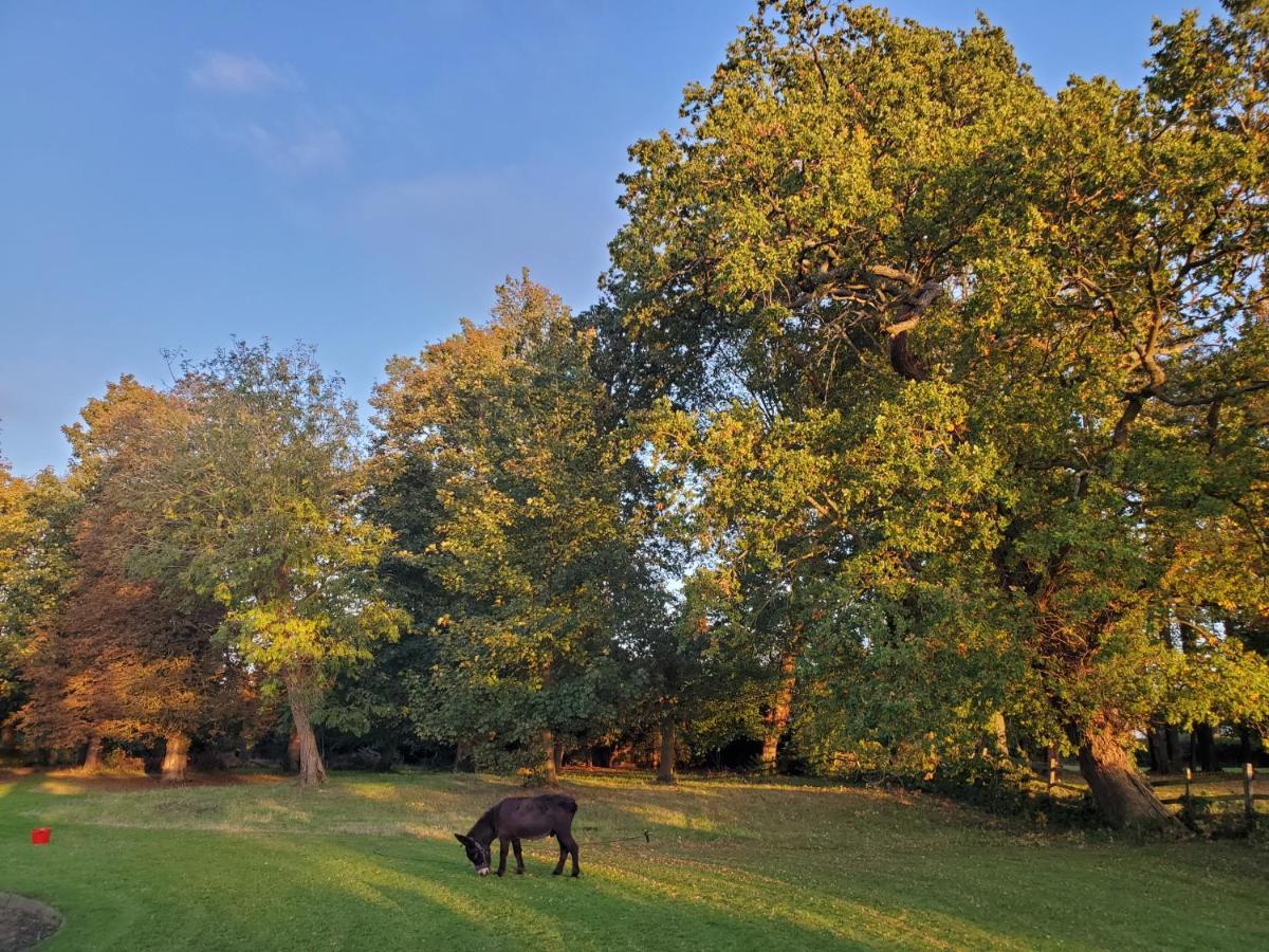 Coundon Lodge コヴェントリー エクステリア 写真